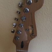 Fender Player II strat y FA-345 · Madrid · 950 €