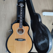 Acústica PRS AX20E · Valencia · 400 €