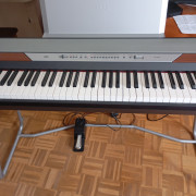 Korg SP 250 · Araba · 350 €