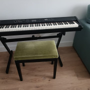 Teclado Roland NX 300 rd 88 teclas