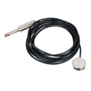 Pickup Shaller Oyster