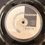 Pareja de altavoces Celestion G12-75 · Granada · 200 €