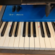 Oberheim MC1000 Teclado Maestro 88 Teclas · Cantabria · 150 €