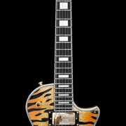 Busco guitarra tigre 10s · Tarragona