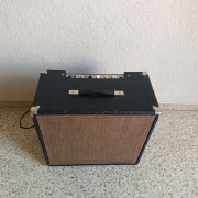 Ampeg J12-T Guitarra · Córdoba · 200 €