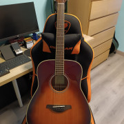 Yamaha Transacoustic FG-TA · Asturias · 450 €