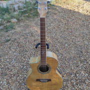 Ibanez EW20L · Murcia · 150 €