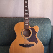 Takamine Eg523sc 12 cuerdas por semihollow · Murcia