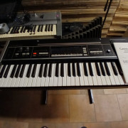 Casio casiotone 1000P DE 1982 de colección vintage digital · Lleida · 100 €