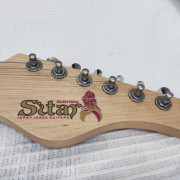 Electric Sitar · Alicante · 1800 €
