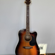 Daytona electroacústica · Bizkaia · 100 €