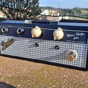 Pedal atenuador / master volumen · Barcelona · 30 €