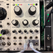 Mutable Instruments Rings · Barcelona · 300 €