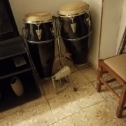 Congas asiaticas