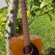 Yamaha FG-75 Red Label