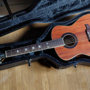 Fender Tim Armstrong Hellcat 12 + estuche original (ENVIO INCLUIDO) · Asturias · 390 €
