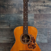 Blueridge BR-143 000