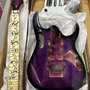 2 Kit Guitarra tipo Jem Steve Vai · Burgos · 170 €