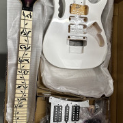 Kit Guitarra tipo Jem Steve Vai · Burgos · 170 €