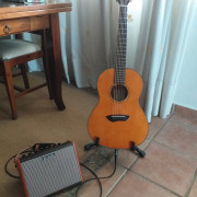 Acustica Yamaha transacoustic parlor