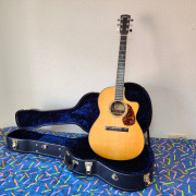 LARRIVEE LSV 11E · Zaragoza · 2500 €