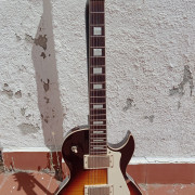 Cort CR 250 · Madrid · 220 €