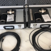 Brauner VM-1 pareja estéreo · Málaga · 9500 €