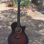 Taylor Builder´s Edition 324ce
