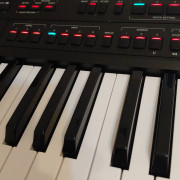 Teclado thoman AKX 1100.CON BOLSA ORIGIBAL · Ciudad Real · 500 €