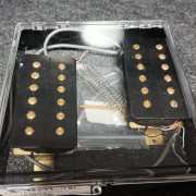 Pastillas PRS 59/09 polos dorados · Zaragoza · 300 €