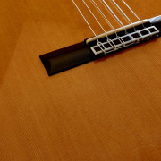 Guitarra Cordoba C9 Crossover · Valencia · 690 €