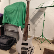 Bajo Yamaha TRBX 505