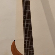 Bajo Epiphone Expert 6 cuerdas. · Asturias · 700 €