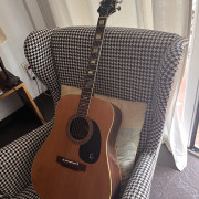 Epiphone FT-150 Bard (Norlin Era) MIJ 1976 · Córdoba · 399 €