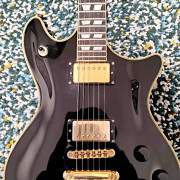 Schecter Tempest Custom Black Beauty · Cádiz · 800 €