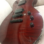 Ltd esp ec 1001 eye Tiger · Bizkaia