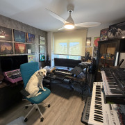 Udo audio super Gemini, novation summit, iridium core,etc.. · Madrid · 3900 €