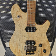 EVH Wolfgang Standard · Cáceres