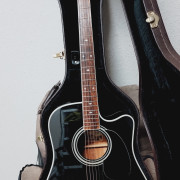 Takamine EF341SC