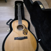 Fender PS220-e nat · Palencia · 450 €