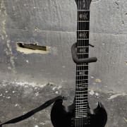 GUIITARRA ESP LTD Viper-2005 30th Aniversario con funda dura · León · 400 €
