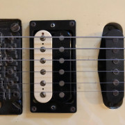 Bare knuckle Holydiver · Valencia · 160 €