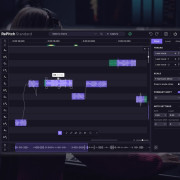 Licencia Repitch 2 Standart