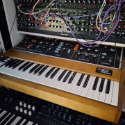 Prophet 10/moog minimog · Madrid