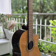 Guitarra Española Electrificada · Madrid · 99 €