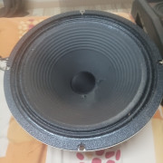 Celestion v30 · Tarragona · 60 €