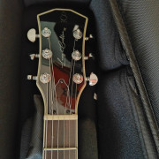 Larry Carlton H7 · Girona · 400 €