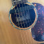 Breedlove Atlas AD/200 SM con. Fishman Blend (pastilla + micro)