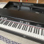 Crumar Seven Piano Eléctrico