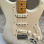 Fender eric johnson 2007